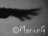 ANTHROPOMETRIE (1)