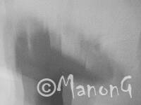 ANTHROPOMETRIE (3)