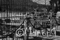TEMPS SUSPENDU (5)