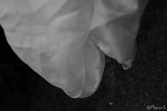 TEMPS SUSPENDU (1)