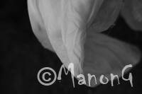 TEMPS SUSPENDU (2)