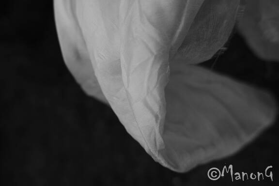 TEMPS SUSPENDU (2)