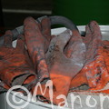 INDUSTRIE (5)