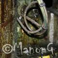 INDUSTRIE (8)