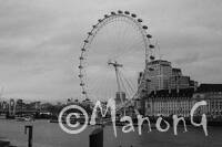 LONDRES (15)