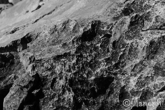 MONT VEYRIER (2)
