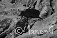 MONT VEYRIER (1)