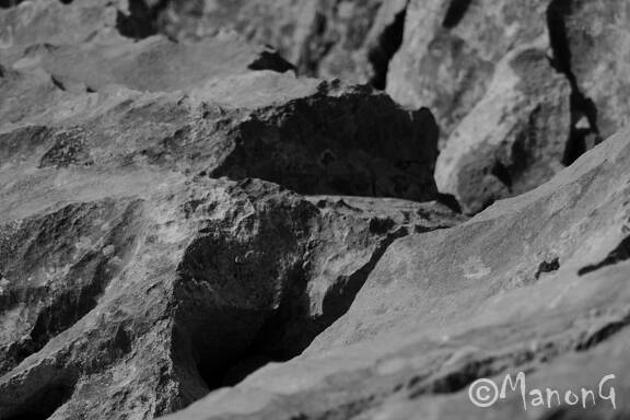 MONT VEYRIER (1)