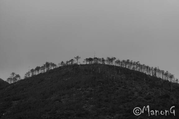 LES 5 TERRES (12)