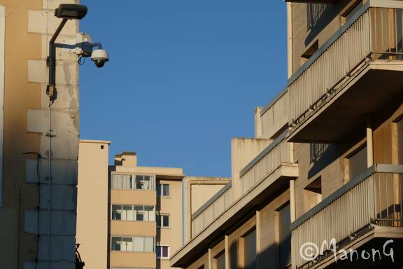 SETE (2)