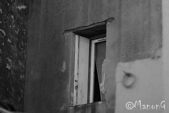 SETE (14)
