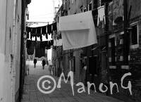 VENISE (8)
