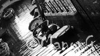 VENISE (9)