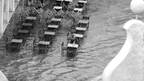 VENISE