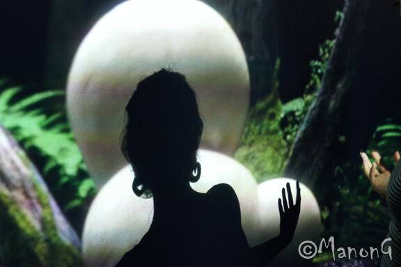 REALITE VIRTUELLE (6)