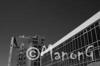 ROYAN