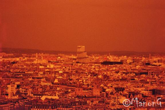 argentique redscale (1)