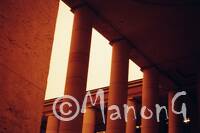 argentique redscale (4)