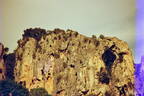ARDECHE