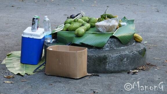 Martinique (3)