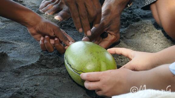 Martinique (9)