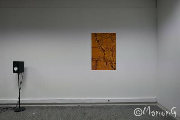 DNSEP (9)